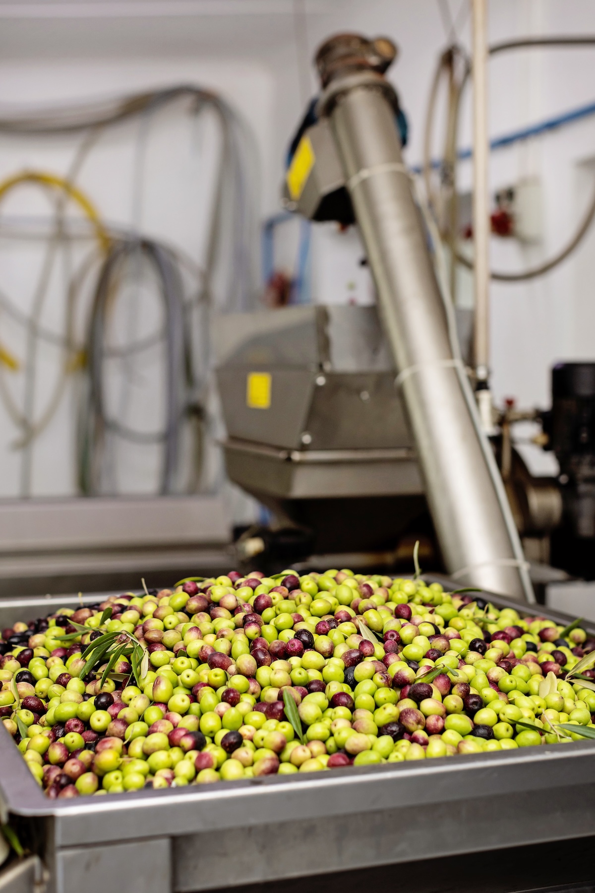 Riverbend_Farm_The Mill20